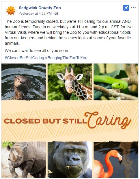 zoo