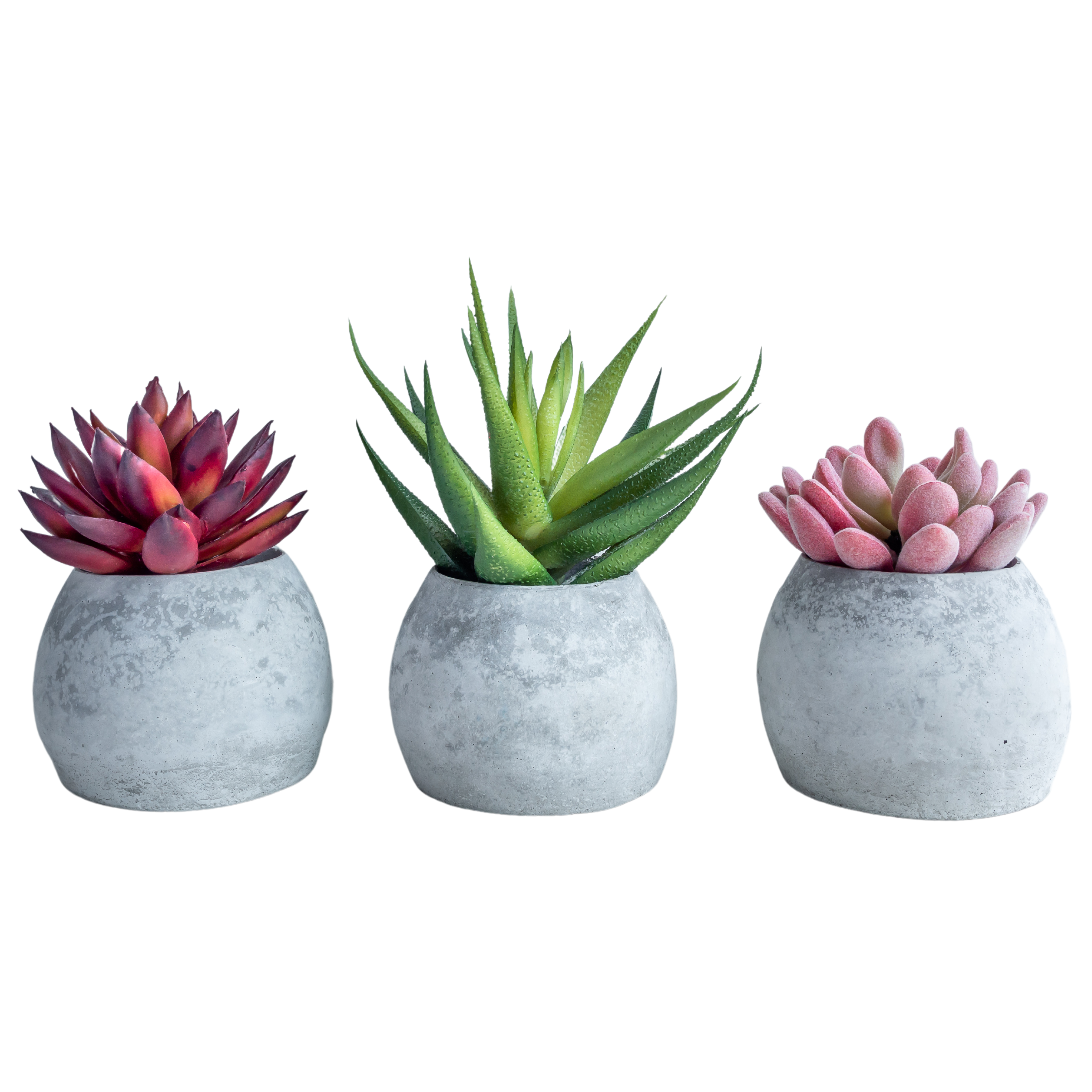 3 gray succulent planters